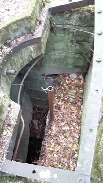 Tiedosto:Kuva-13-20160916.jpg