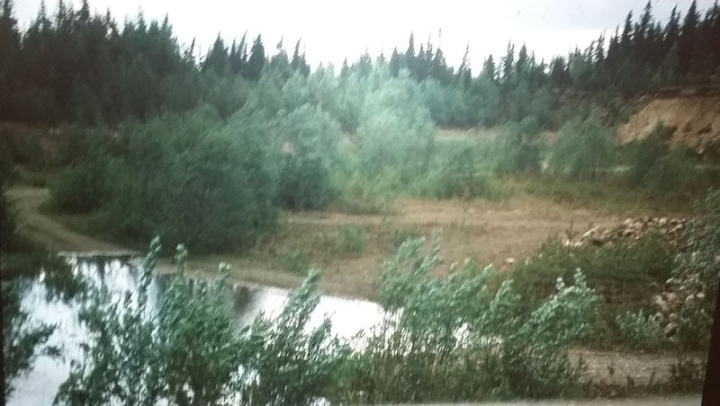 Tiedosto:251-1982a.jpg